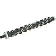 Byrd Shelix Head for Delta 22-560 12-1/2" Planer (bearings included)-2991
