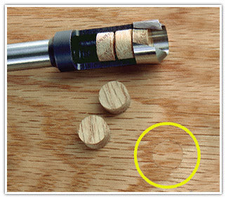 Amana Timberline 1/2" Straight Plug Cutter